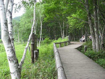 小田代ヶ原　展望ベンチ