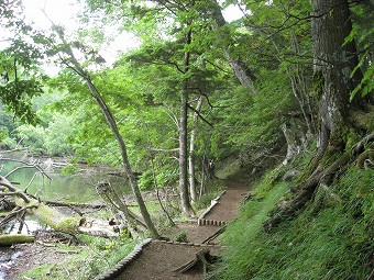 湯ノ湖湖畔