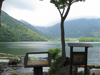 温泉ヶ岳方面