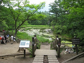 泉門池