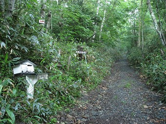 白根山登山口