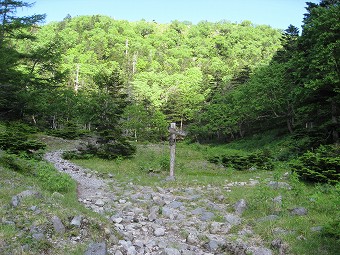 白根山・五色山の分岐