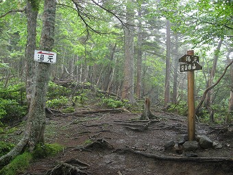 外山鞍部