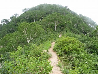 中遠見山へ