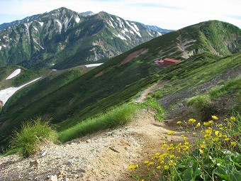 唐松岳見つつ