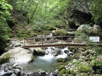 天井岩橋