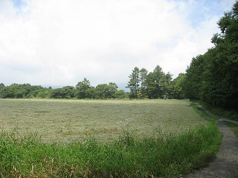 キープ協会　牧草地