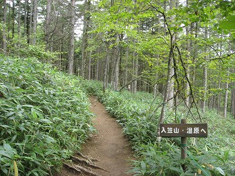 入笠湿原へ