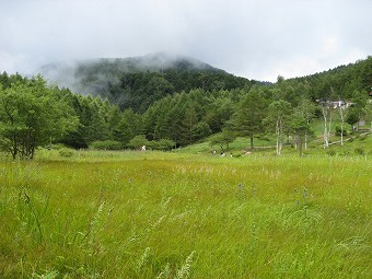 入笠山にはガス