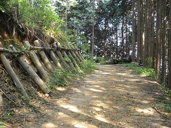 梅ノ木峠へ