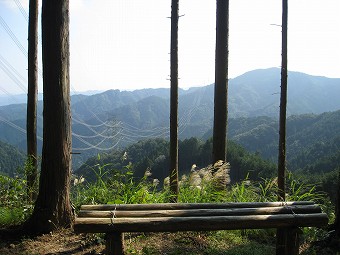 梅ノ木峠