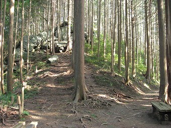 三室山分岐