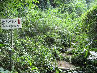 日の出山登山口