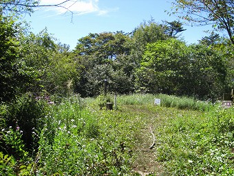 黒岳　山頂