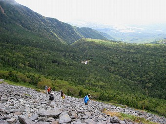 夏沢峠へ