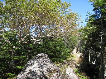 中山峠から