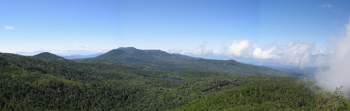 ニュウから見る原生林と白駒池