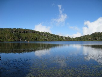 白駒池