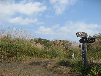 広葉樹林