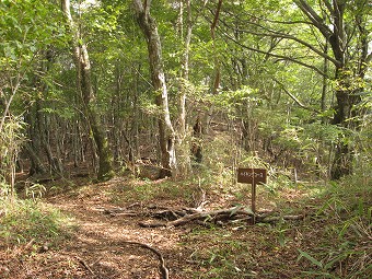 高指山へ