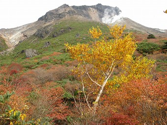 ひょうたん池から見る茶臼岳