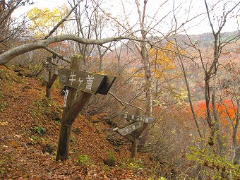 沼原分岐