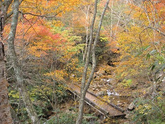 木橋