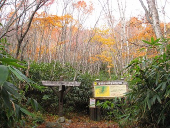 峰の茶屋跡　分岐