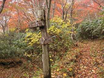 大峠　分岐