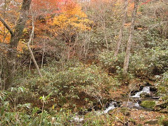 赤岩沢