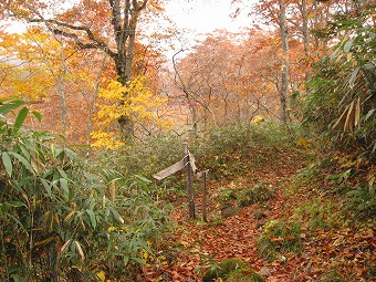 三斗小屋温泉宿跡　分岐