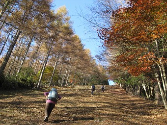 石保戸山　山頂へ