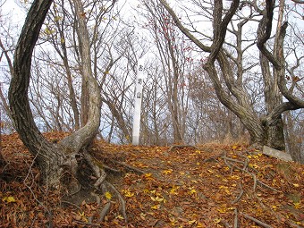 お坊山　山頂