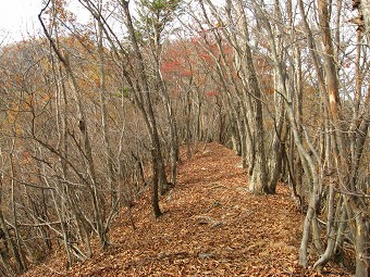 米沢山へ