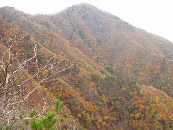 お坊山