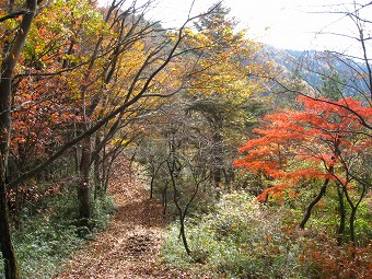 生藤山へ