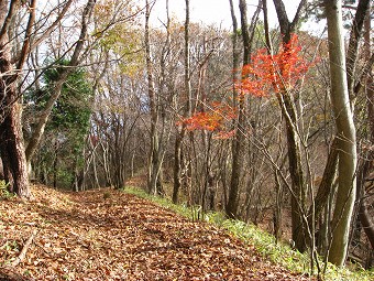 向こうに連行峰