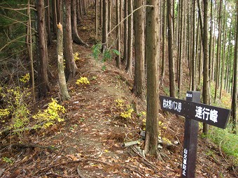 連行峰