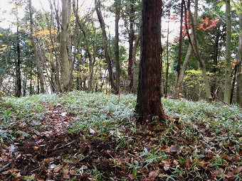 湯場ノ尾根