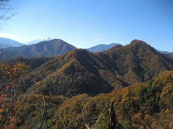 花咲山