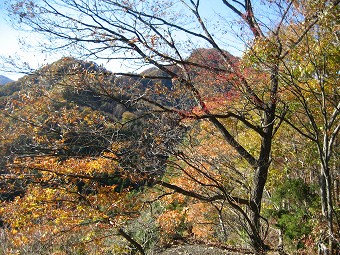 花咲山