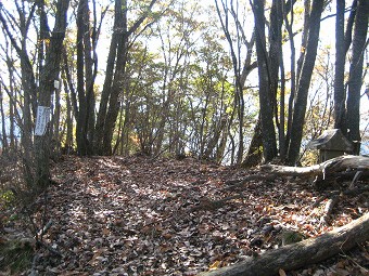 花咲山　山頂