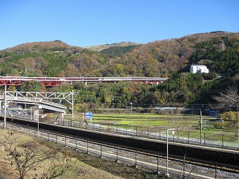 大野山