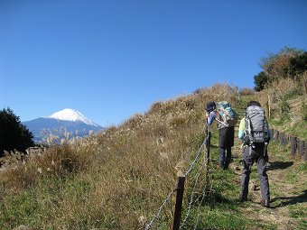 ススキと富士山