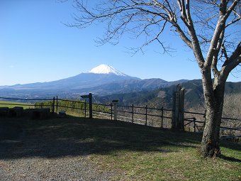 大野山　山頂