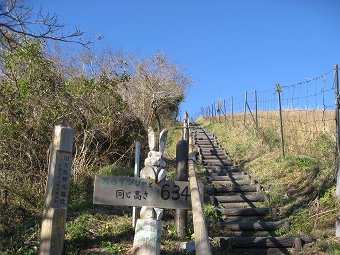 634mのうさぎさん