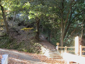 大野山登山