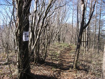 陽だまりの縦走路