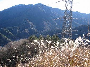 送電鉄塔と加入道山