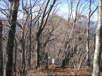 二十六夜山へ